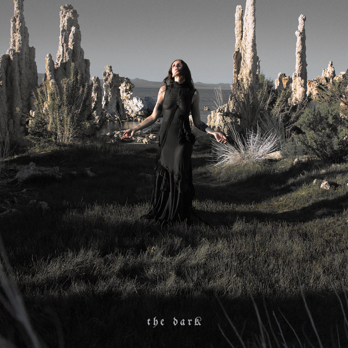 Pochette de l'album The Dark de Chelsea Wolfe