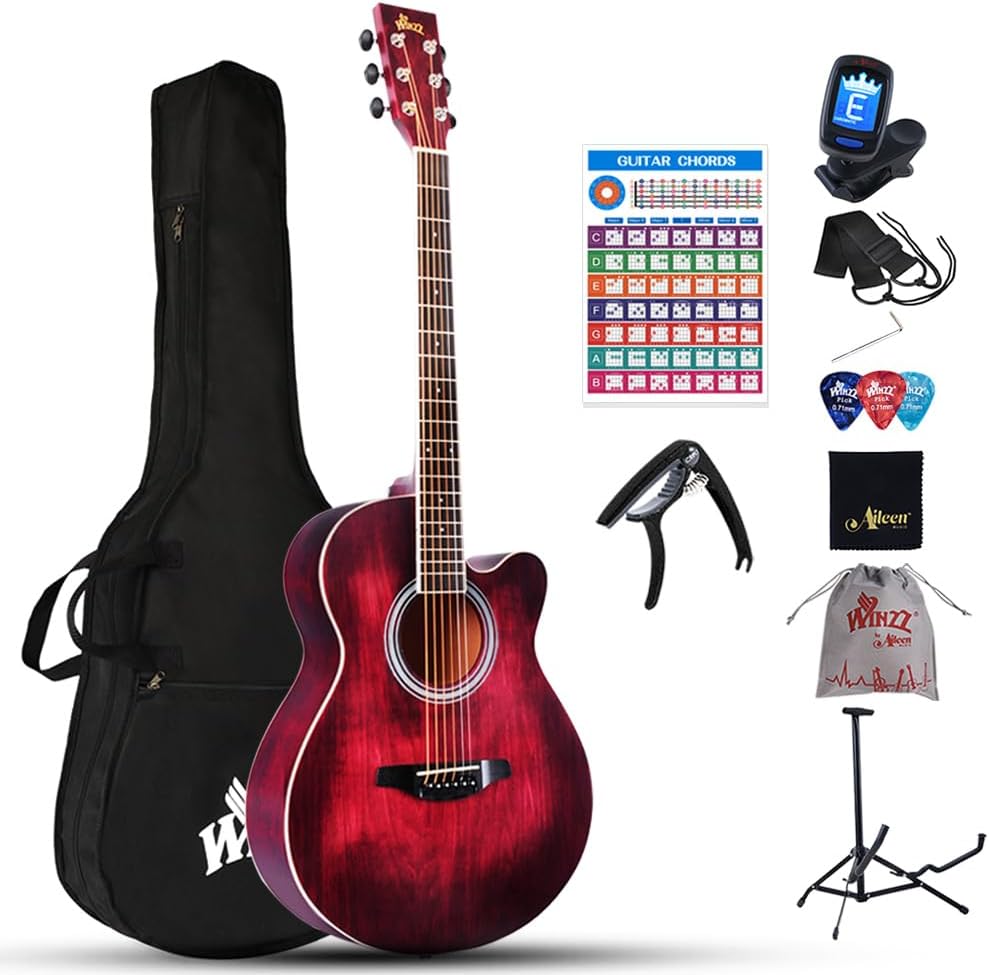 Winzz guitare acoustique folk débutant
