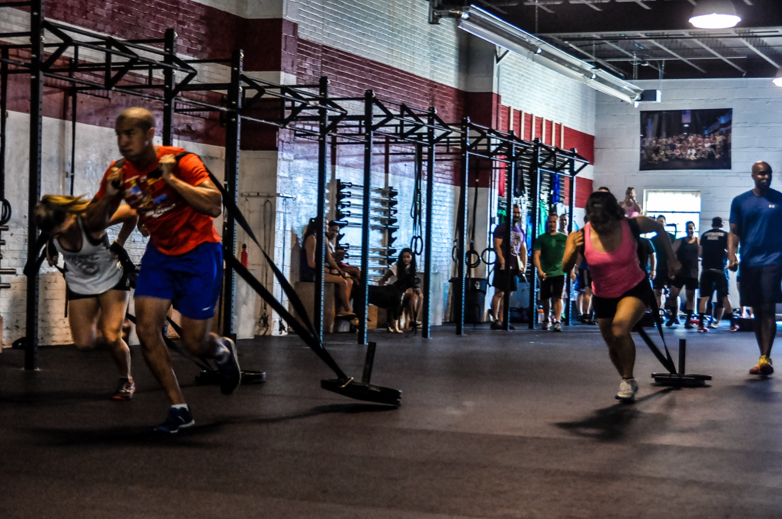 Groupe de pratiquants tirant des sleds lestés lors d'un WOD dans une box de CrossFit