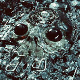 Pochette de l'album Alien Metal de King Gizzard & The Lizard Wizard