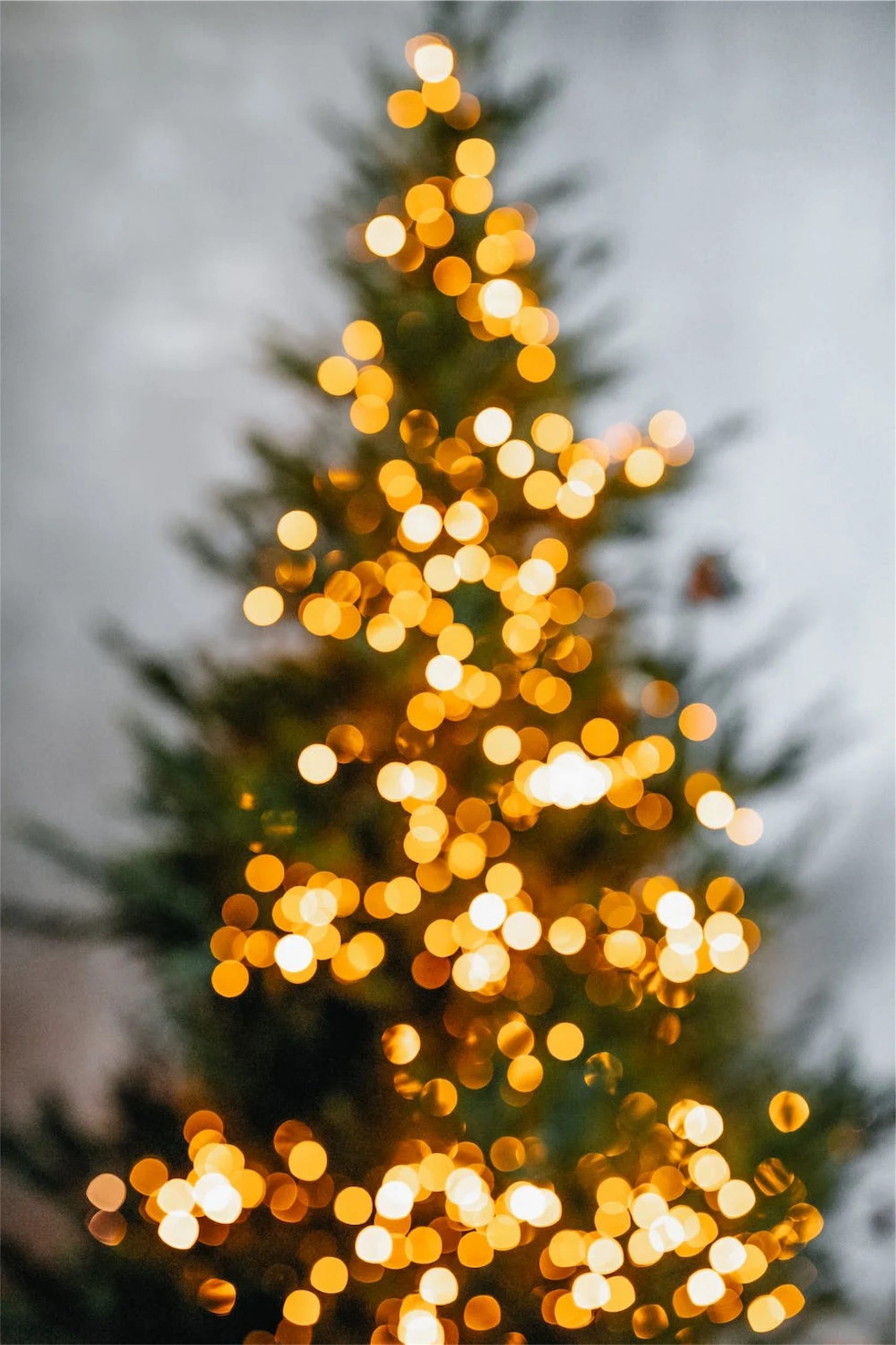 Faut il choisir un sapin naturel ou artificiel ?