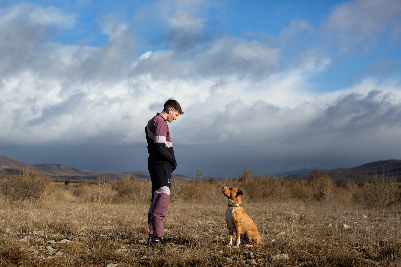 Allez voir Chien de la casse au cinéma