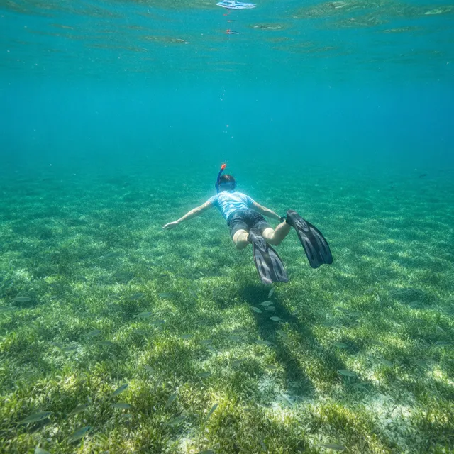 Nageur en snorkeling survolant un herbier de posidonie dans une eau turquoise de Méditerranée