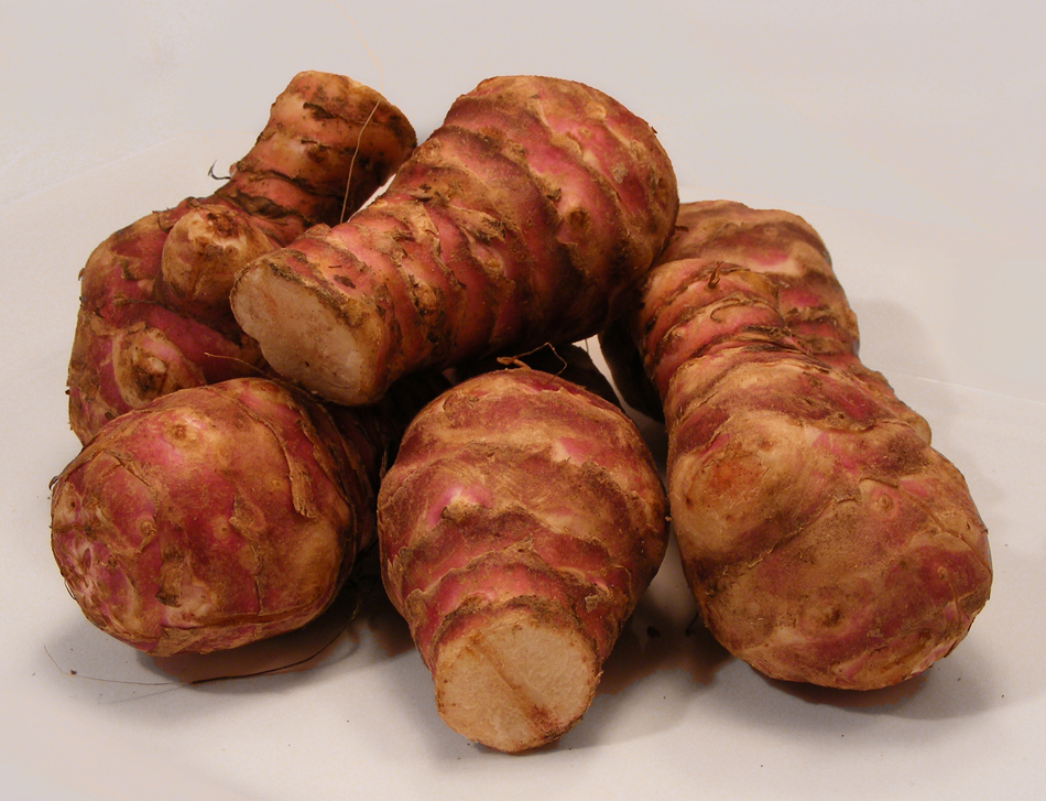 Un tas de topinambours frais aux tubercules noueux et rosés